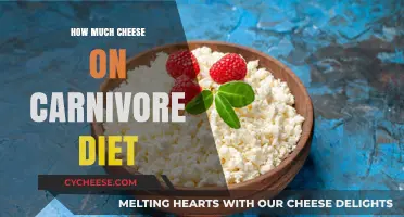 Cheese on Carnivore Diet: How Much is Too Much?