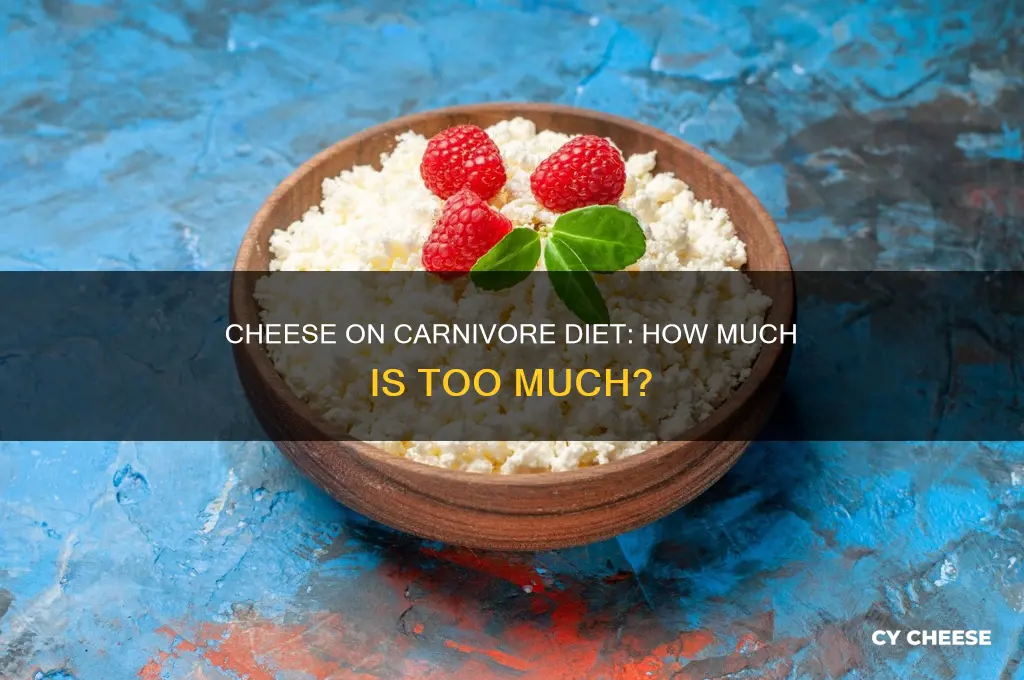 how much cheese on carnivore diet