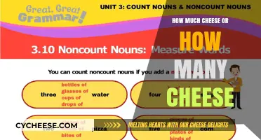 Cheese Count Confusion: Mastering 'How Much' vs. 'How Many' in Grammar