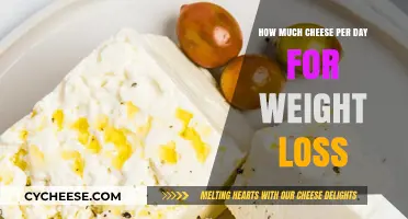 Cheese and Weight Loss: Daily Portion Guide for Healthy Results