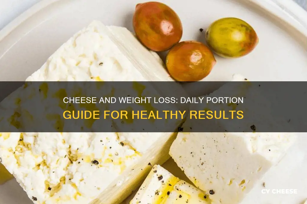 how much cheese per day for weight loss