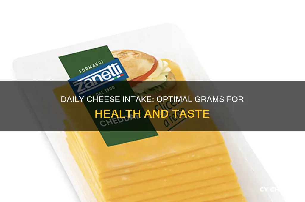 how much cheese per day in grams