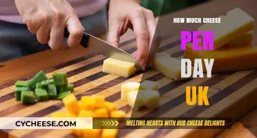 Daily Cheese Intake: UK Guidelines for Healthy Consumption