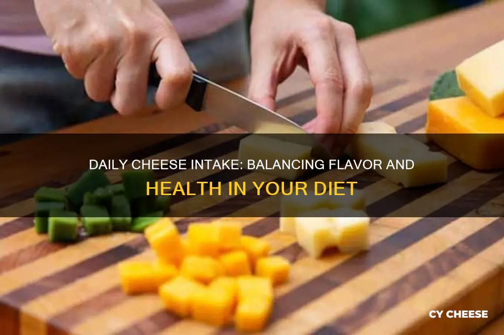 how much cheese per day