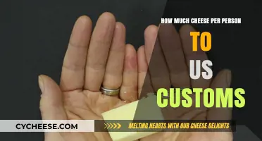 Cheese Portion Guide: US Customs Serving Sizes Explained