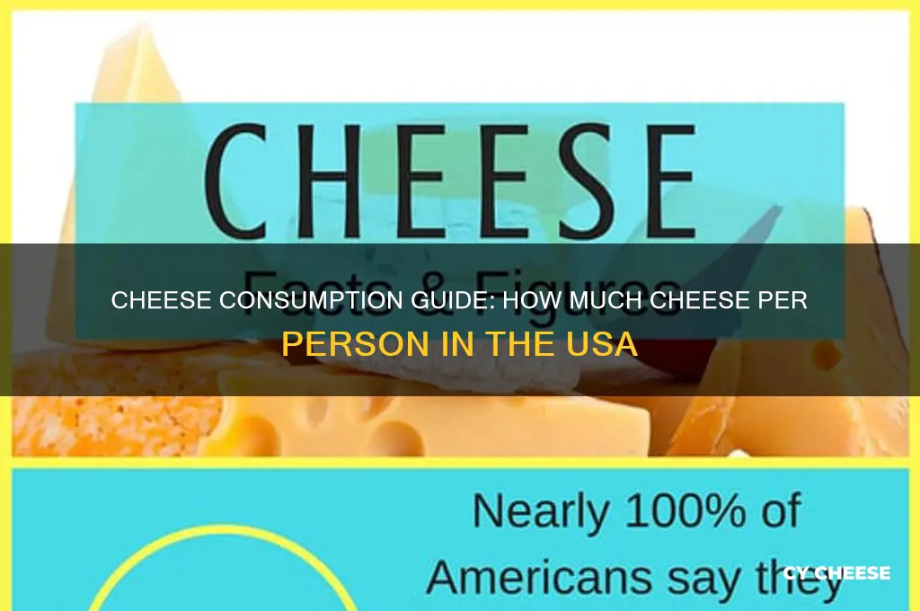how much cheese per person to usa