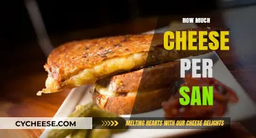 Perfect Cheese-to-Sandwich Ratio: How Much Cheese Per San?