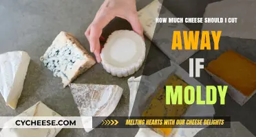 Handling Moldy Cheese: How Much to Safely Cut Away