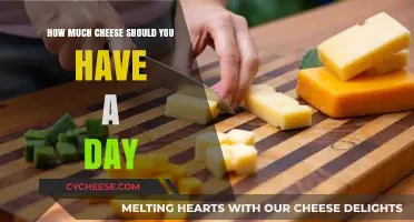 Daily Cheese Intake: Balancing Flavor and Health for Optimal Consumption