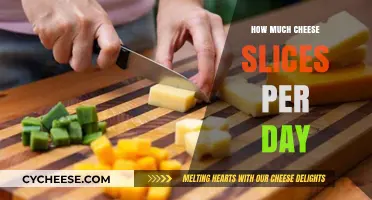 Daily Cheese Slice Limit: Balancing Taste and Health for Optimal Intake