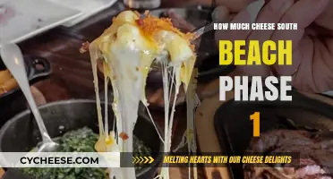 Cheese on South Beach Diet Phase 1: What’s Allowed?