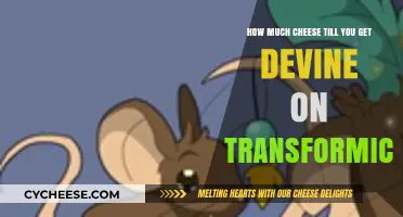 Transformice Cheese Quest: Unlocking Divine Powers with Every Slice