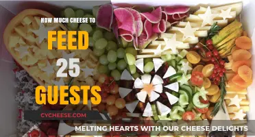 Perfect Cheese Platter: Serving 25 Guests with Ease and Elegance