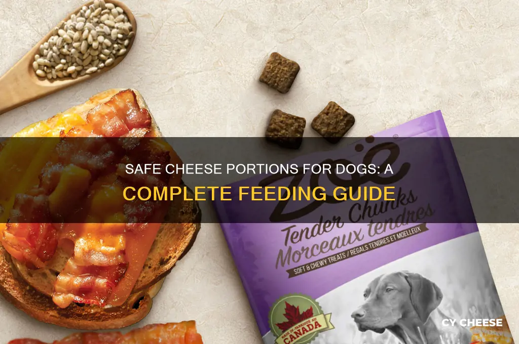 how much cheese to give dog