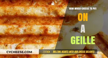 Perfect Cheese Topping: Mastering the Art of a Delicious Geille
