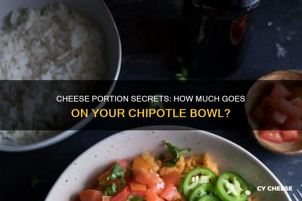 how much cheese typically goes on a chipotle bowl
