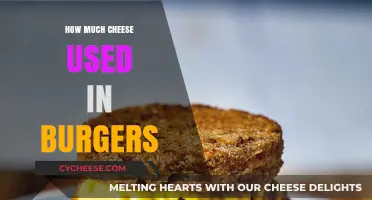 Cheese in Burgers: Measuring the Melty Goodness in Every Bite
