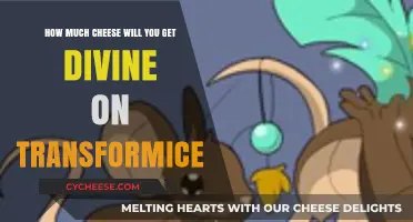 Divine Cheese Rewards: Maximizing Your Transformice Haul Like a Pro