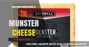 Munster Cheese Cholesterol Content: What You Need to Know