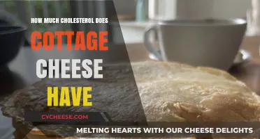Cottage Cheese Cholesterol Content: A Healthy Dairy Choice?