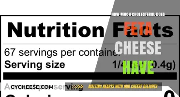 Feta Cheese Cholesterol Content: What You Need to Know