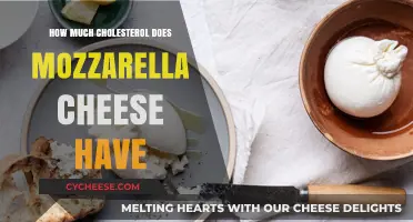 Mozzarella Cheese Cholesterol Content: What You Need to Know