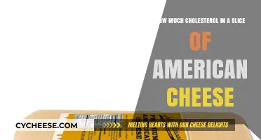 Cholesterol Content in American Cheese: A Slice's Impact Revealed
