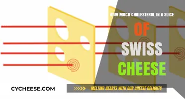 Swiss Cheese Cholesterol Content: Uncovering the Facts in One Slice