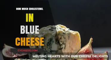 Blue Cheese Cholesterol Content: Unveiling the Surprising Truth in Every Bite