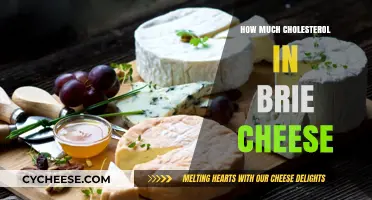 Brie Cheese Cholesterol Content: What You Need to Know