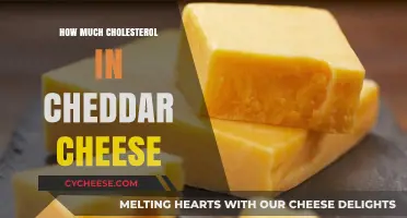 Cheddar Cheese Cholesterol Content: What You Need to Know