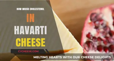 Havarti Cheese Cholesterol Content: What You Need to Know