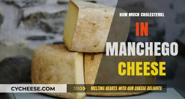 Manchego Cheese Cholesterol Content: A Nutritional Breakdown and Guide