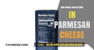 Parmesan Cheese Cholesterol Content: What You Need to Know