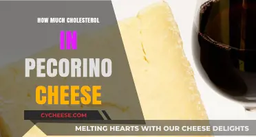 Pecorino Cheese Cholesterol Content: What You Need to Know