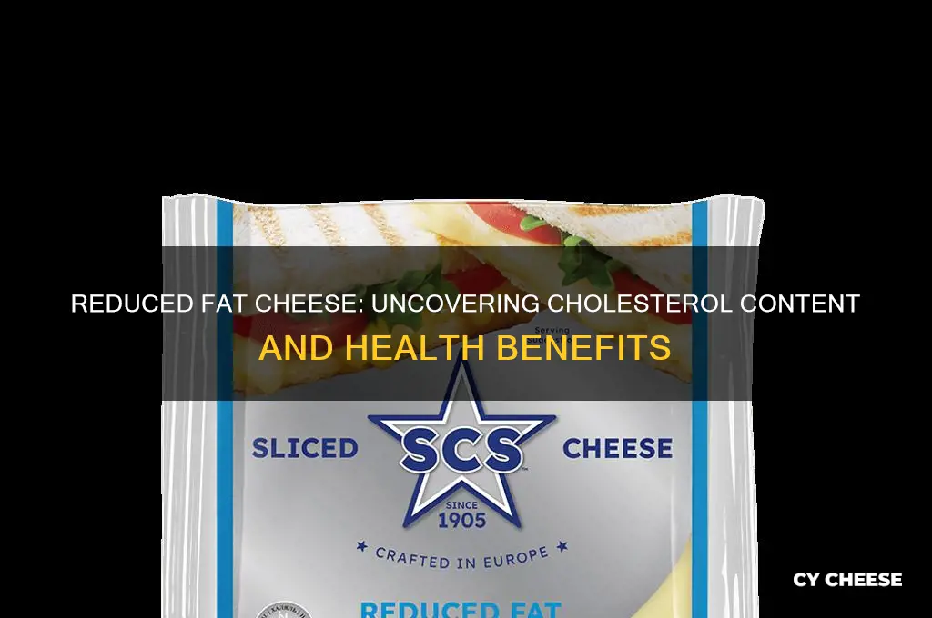 how much cholesterol in reduced fat cheese