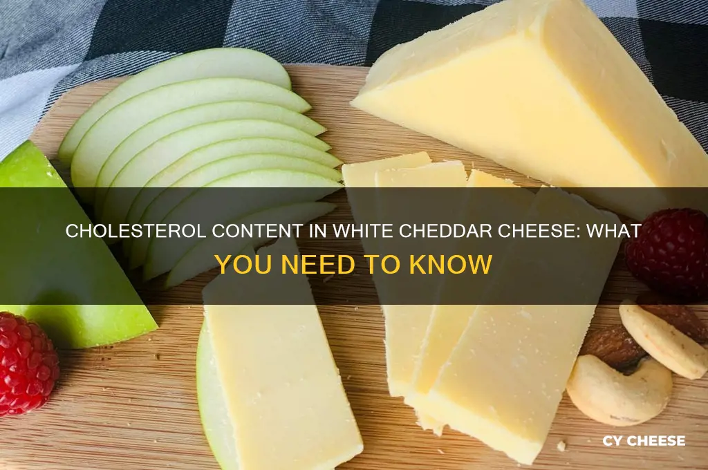 how much cholesterol in white cheddar cheese