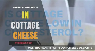 Cottage Cheese Cholesterol Content: What You Need to Know