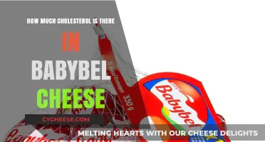 Babybel Cheese Cholesterol Content: What You Need to Know