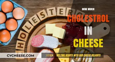 Cheese Cholesterol Content: Understanding Levels and Health Implications