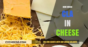 CLA in Cheese: Understanding Its Content and Health Benefits