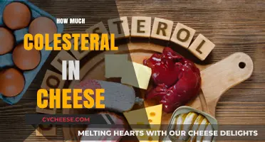 Cheese and Cholesterol: Understanding the Impact on Your Heart Health