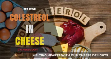Understanding Cholesterol Levels in Cheese: A Comprehensive Guide