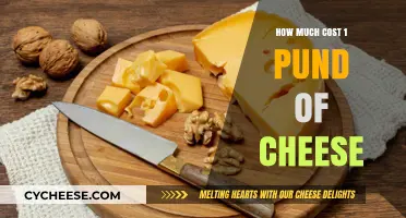How Much Does 1 Pound of Cheese Cost? A Price Guide