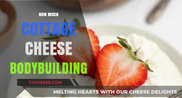 Cottage Cheese for Bodybuilding: Nutrition, Benefits, and Optimal Intake
