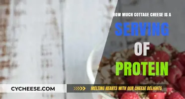 Cottage Cheese Protein Serving: How Much is Enough?