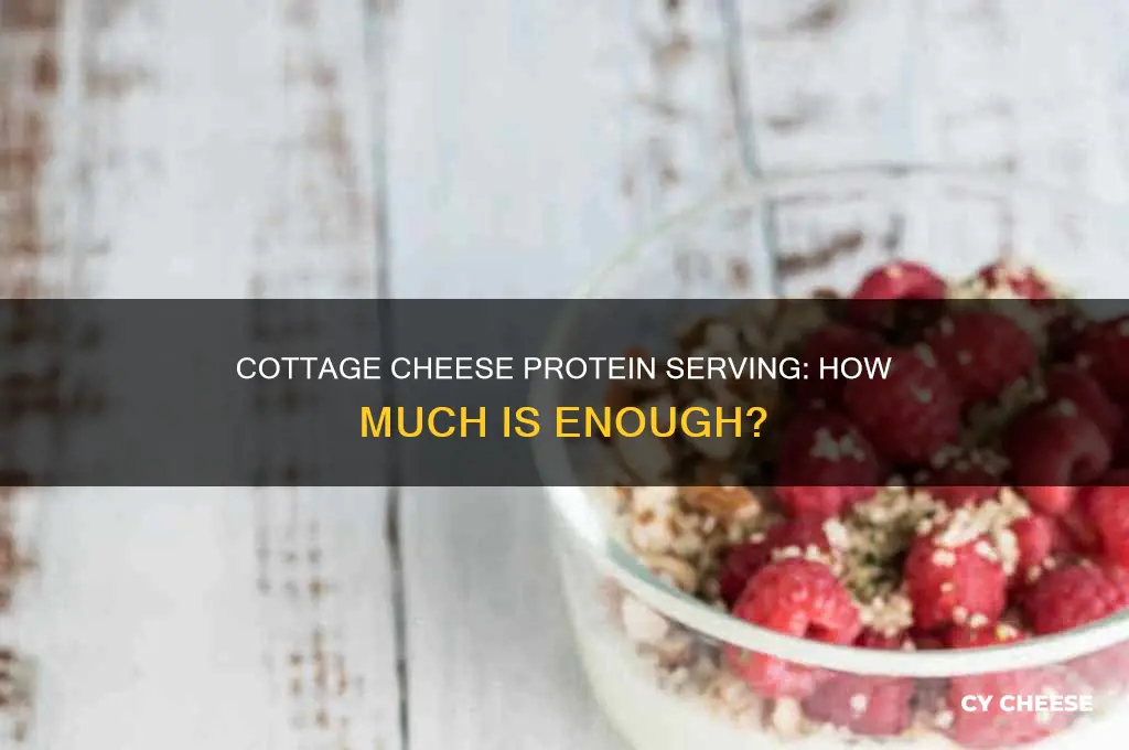 how much cottage cheese is a serving of protein