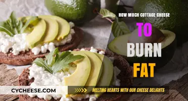 Cottage Cheese for Fat Loss: Optimal Serving Size Revealed