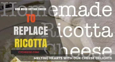 Perfect Cottage Cheese Substitute: Replacing Ricotta in Your Favorite Recipes