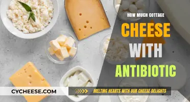 Cottage Cheese and Antibiotics: Safe Consumption Guide for Optimal Health